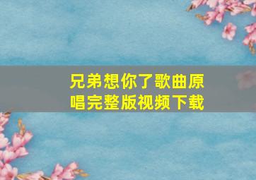 兄弟想你了歌曲原唱完整版视频下载