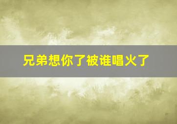 兄弟想你了被谁唱火了