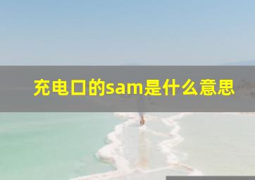 充电口的sam是什么意思