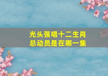 光头强唱十二生肖总动员是在哪一集