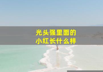 光头强里面的小红长什么样