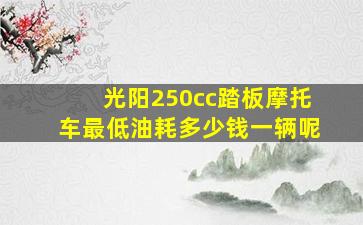 光阳250cc踏板摩托车最低油耗多少钱一辆呢