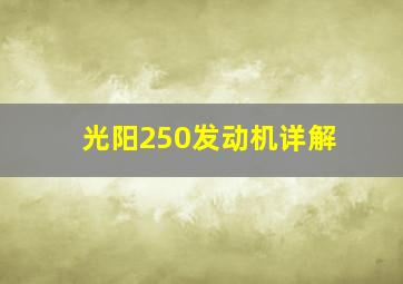 光阳250发动机详解