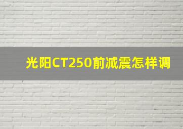 光阳CT250前减震怎样调