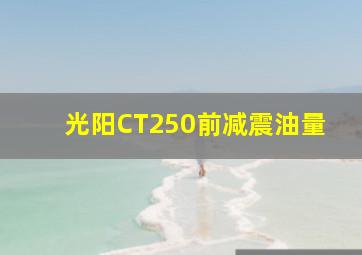 光阳CT250前减震油量