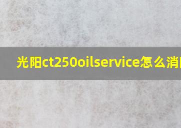 光阳ct250oilservice怎么消除