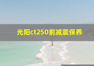 光阳ct250前减震保养