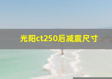 光阳ct250后减震尺寸