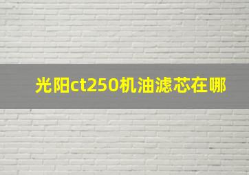 光阳ct250机油滤芯在哪