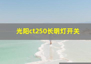 光阳ct250长明灯开关