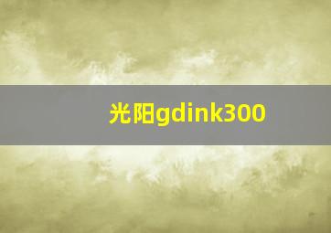 光阳gdink300