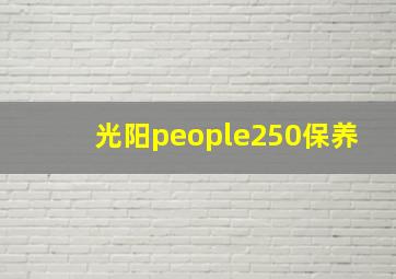 光阳people250保养