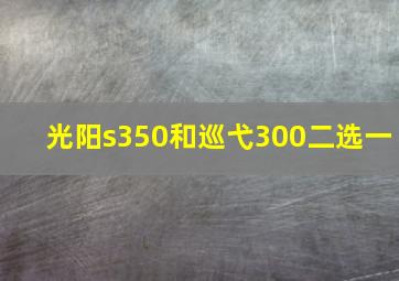 光阳s350和巡弋300二选一