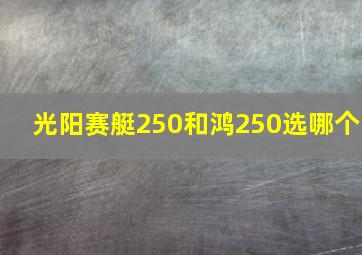 光阳赛艇250和鸿250选哪个