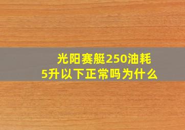 光阳赛艇250油耗5升以下正常吗为什么