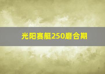 光阳赛艇250磨合期