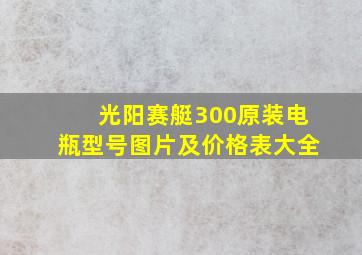 光阳赛艇300原装电瓶型号图片及价格表大全