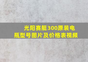 光阳赛艇300原装电瓶型号图片及价格表视频