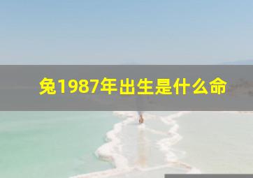 兔1987年出生是什么命