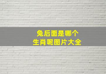 兔后面是哪个生肖呢图片大全