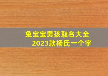 兔宝宝男孩取名大全2023款杨氏一个字