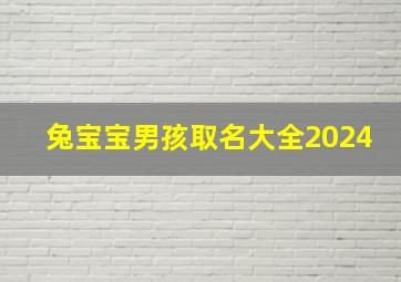 兔宝宝男孩取名大全2024