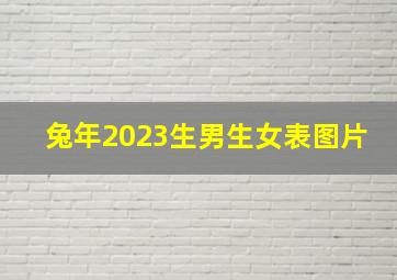 兔年2023生男生女表图片