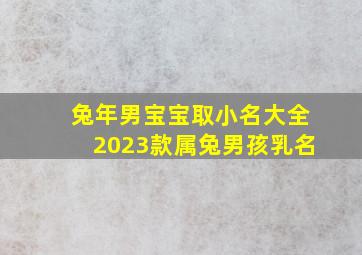 兔年男宝宝取小名大全2023款属兔男孩乳名