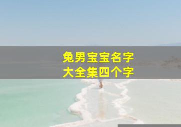 兔男宝宝名字大全集四个字