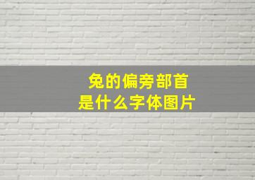 兔的偏旁部首是什么字体图片