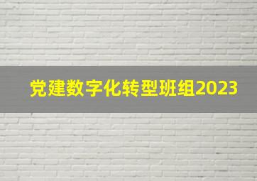 党建数字化转型班组2023