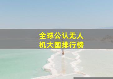 全球公认无人机大国排行榜