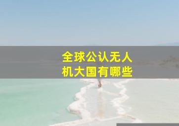 全球公认无人机大国有哪些