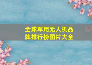 全球军用无人机品牌排行榜图片大全