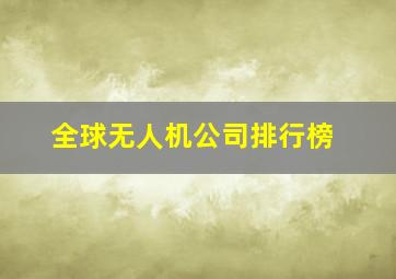 全球无人机公司排行榜