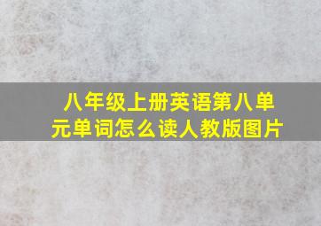 八年级上册英语第八单元单词怎么读人教版图片