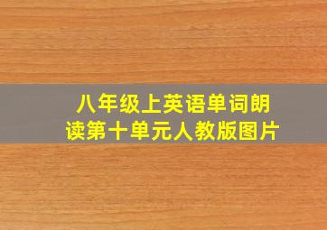 八年级上英语单词朗读第十单元人教版图片