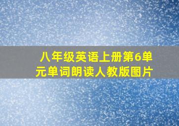 八年级英语上册第6单元单词朗读人教版图片