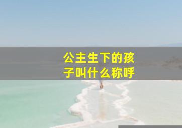 公主生下的孩子叫什么称呼