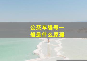 公交车编号一般是什么原理