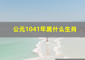 公元1041年属什么生肖