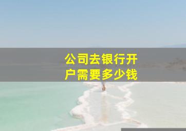 公司去银行开户需要多少钱