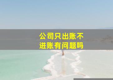 公司只出账不进账有问题吗