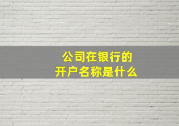 公司在银行的开户名称是什么