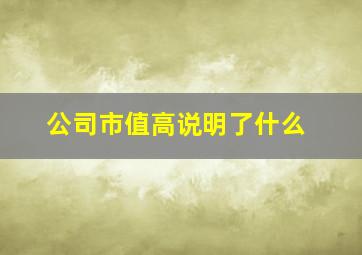 公司市值高说明了什么