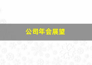 公司年会展望