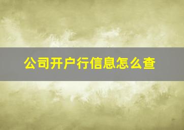 公司开户行信息怎么查