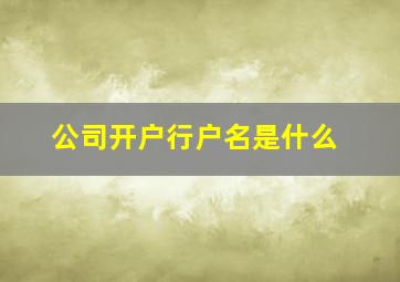 公司开户行户名是什么