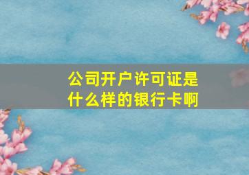 公司开户许可证是什么样的银行卡啊