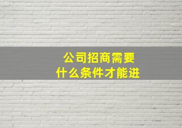 公司招商需要什么条件才能进